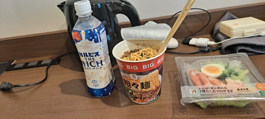 홀로 떠난 첫 해외여행(도쿄 4박 5일)-3_1.jpg