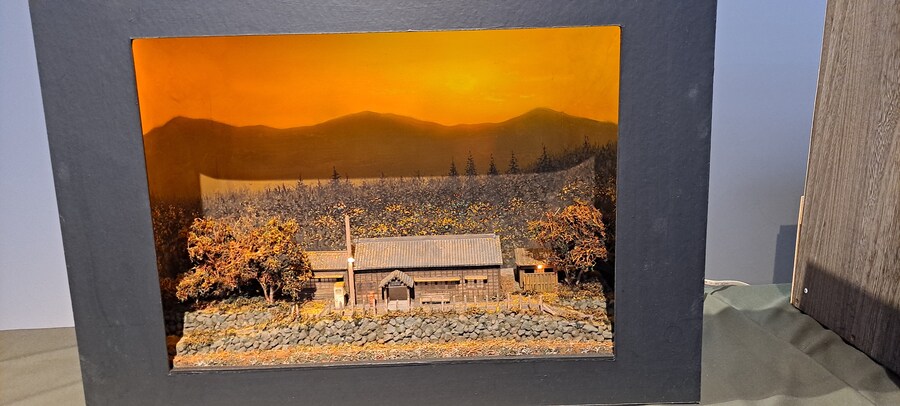 홀로 떠난 첫 해외여행(도쿄 4박 5일)-3_75.jpg