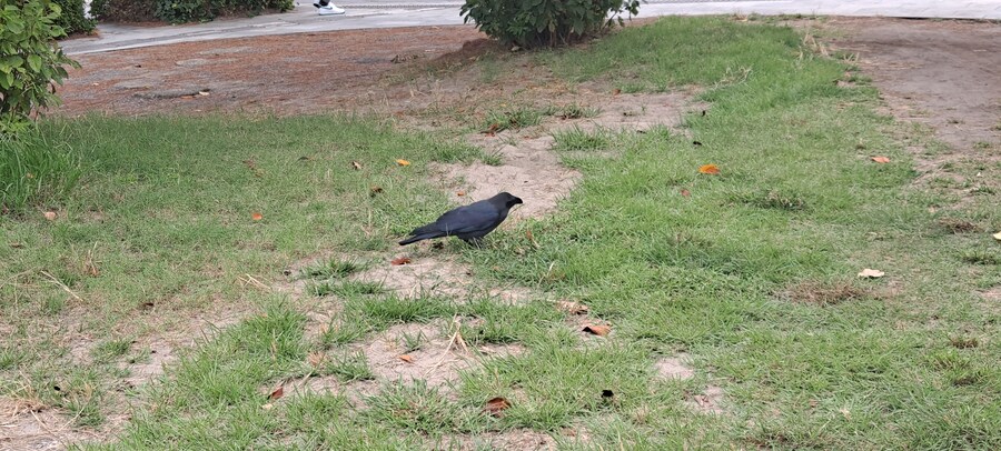 홀로 떠난 첫 해외여행(도쿄 4박 5일)-3_111.jpg