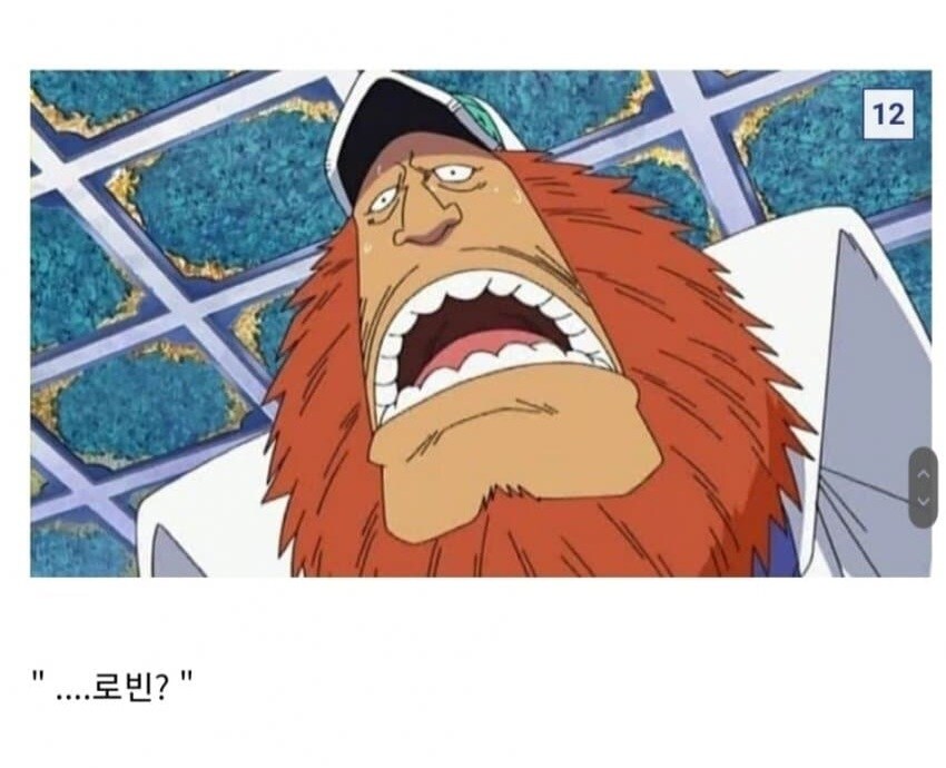 원피스 "니코 로빈이 과거에 흑화했었다"(X)_2.jpg