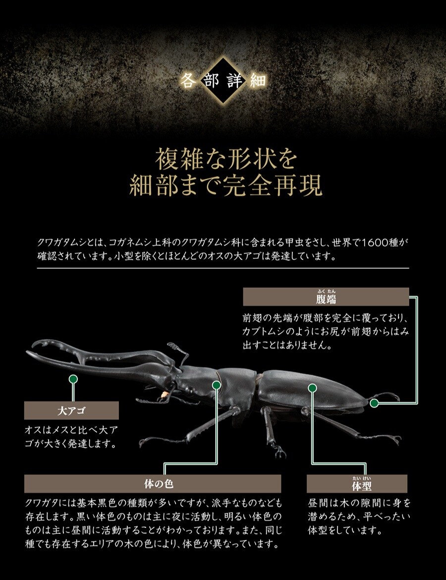 [반다이 가샤폰] 생물대도감 어드밴스 기라파톱/만디블라리스큰턱 사슴벌레_13.jpg
