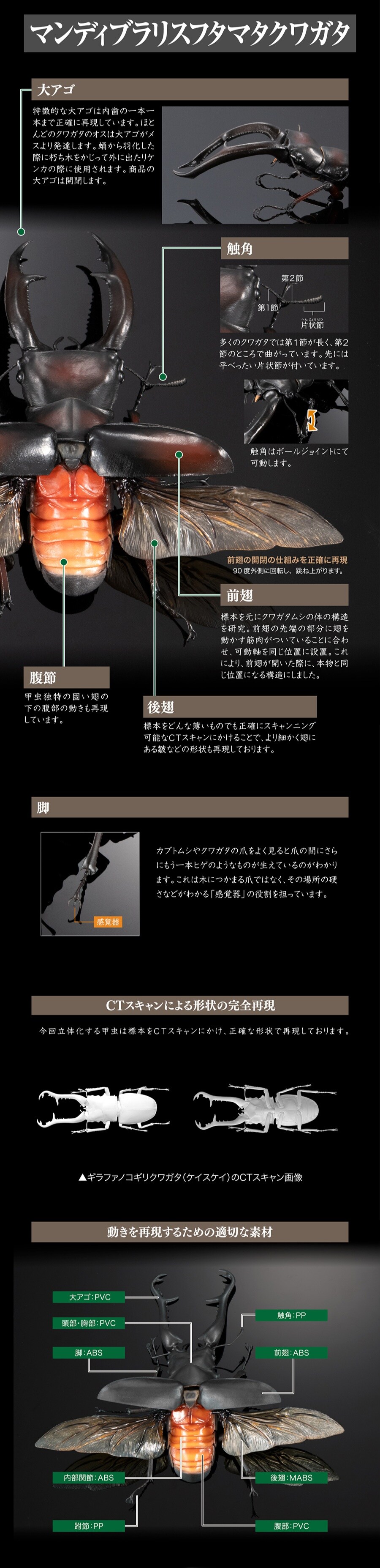 [반다이 가샤폰] 생물대도감 어드밴스 기라파톱/만디블라리스큰턱 사슴벌레_15.jpg