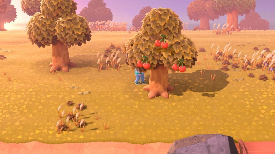 [동물의 숲] 이런 섬 가지고 싶어요!_19.jpg