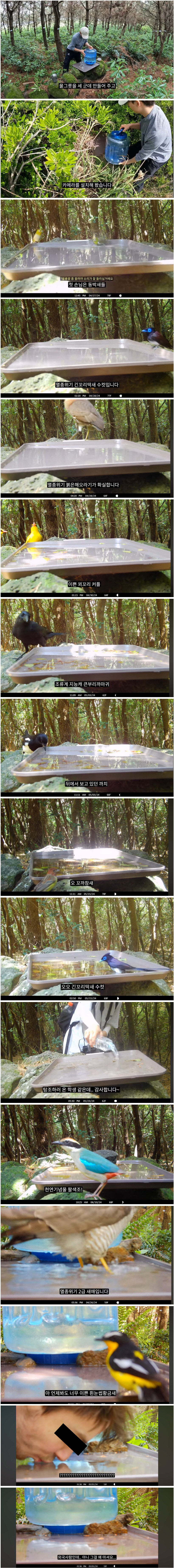길고양이 퇴치 운동을 한 마라도 . jpg_1.jpg