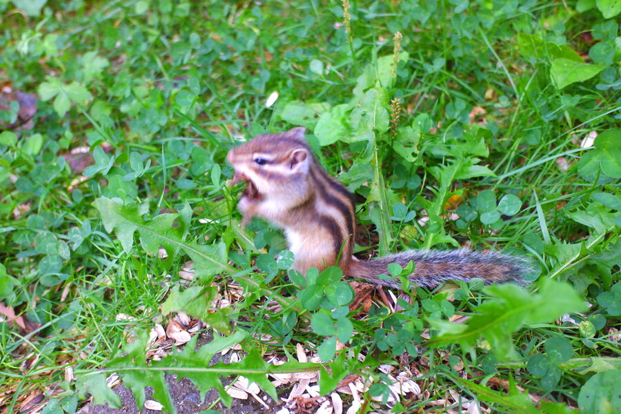 북쪽의 대지, 홋카이도 여행 3부 (오타루)_65.jpg