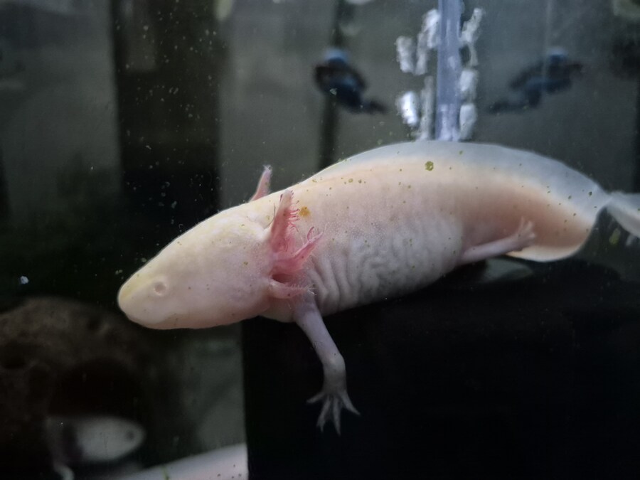 수조)럼프의 일상_1.jpg