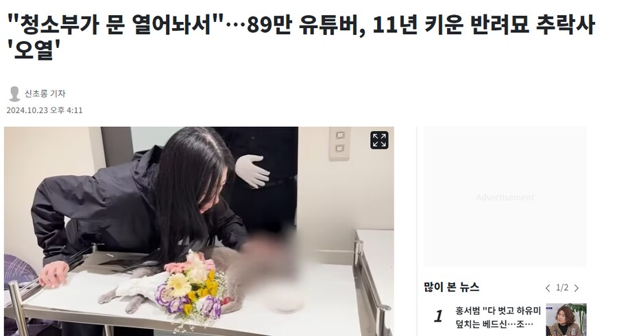 "청소부가 문 열어놔서"…89만 유튜버, 11년 키운 반려묘 추락사 '오열'_1.png