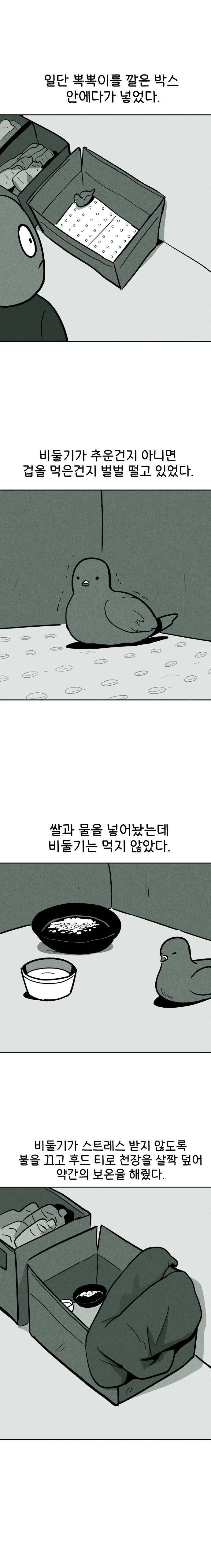 비둘기 구조하는 만화_7.jpg