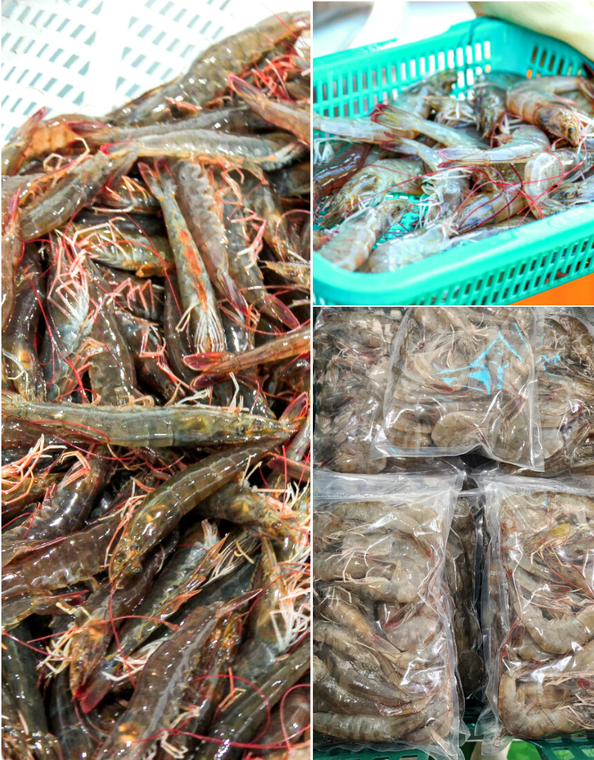 [네이버] 경남 통영 바다장어 1kg가 2만원이 안되네요!?_14.jpg