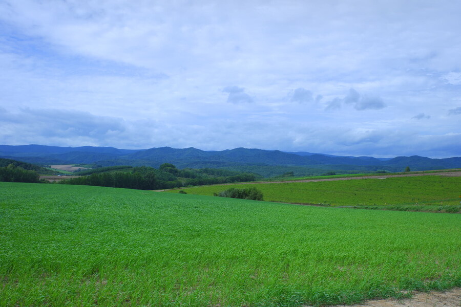 북쪽의 대지, 홋카이도 여행 4부 (비에이)_11.jpg