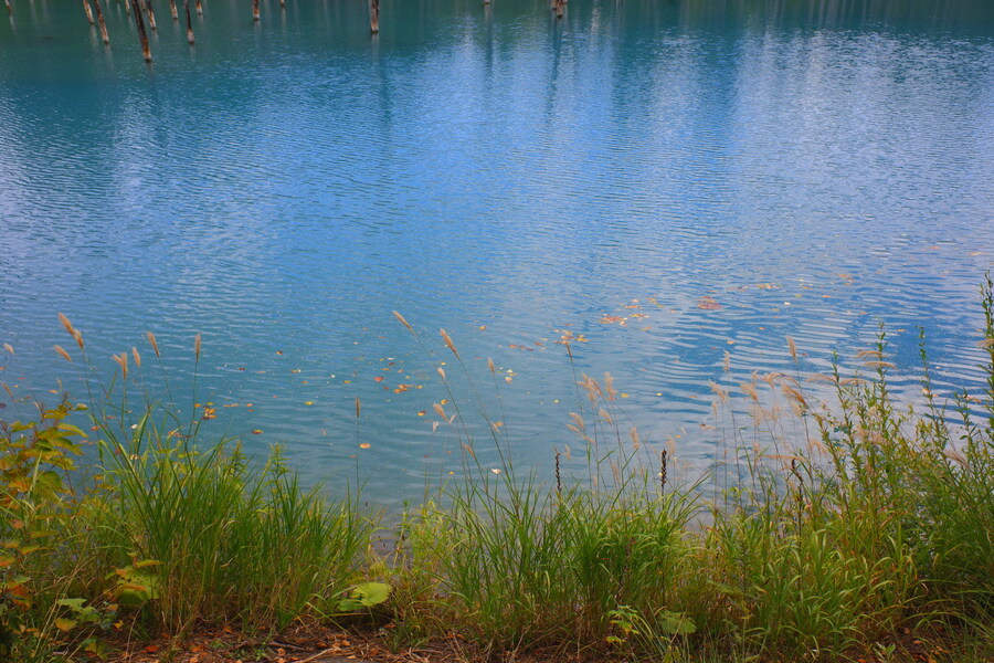 북쪽의 대지, 홋카이도 여행 4부 (비에이)_32.jpg