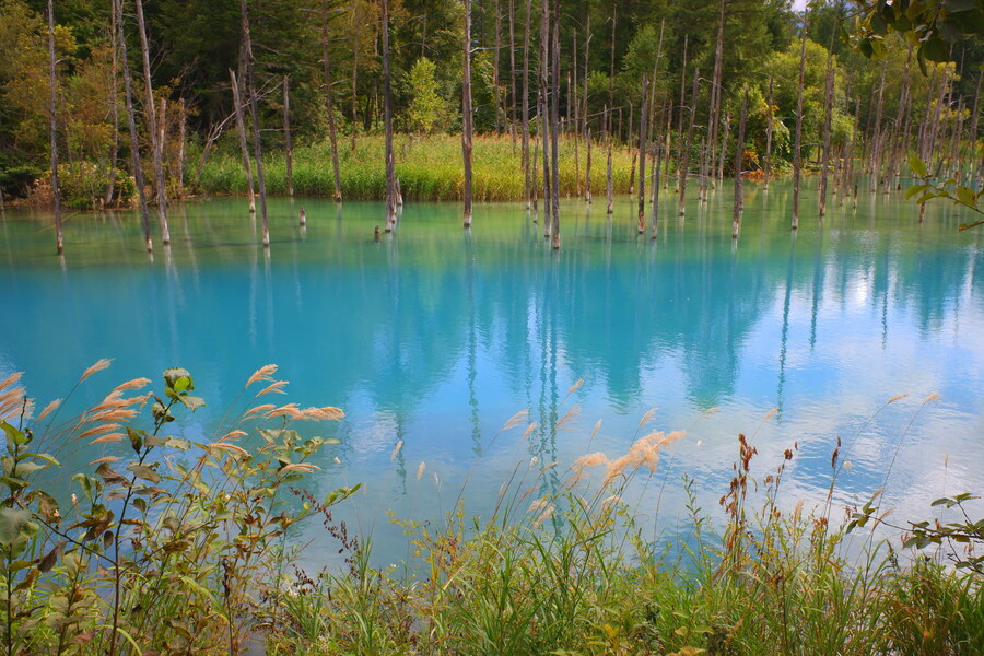 북쪽의 대지, 홋카이도 여행 4부 (비에이)_33.jpg