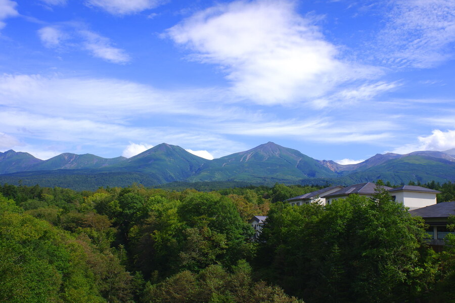 북쪽의 대지, 홋카이도 여행 4부 (비에이)_39.jpg