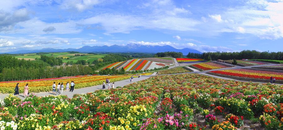 북쪽의 대지, 홋카이도 여행 4부 (비에이)_42.jpg