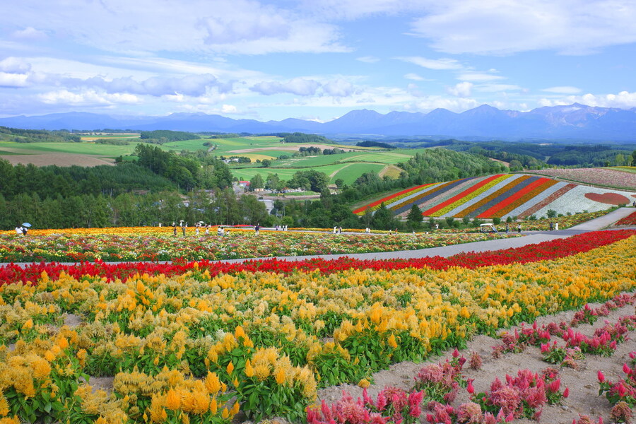 북쪽의 대지, 홋카이도 여행 4부 (비에이)_46.jpg