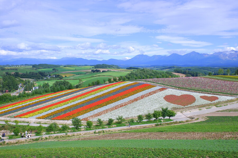 북쪽의 대지, 홋카이도 여행 4부 (비에이)_50.jpg