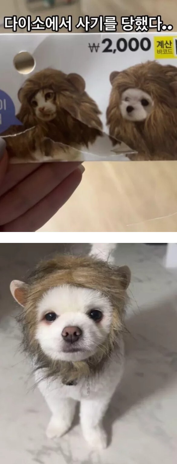 다이소에서 사기를 당했다_2.jpg
