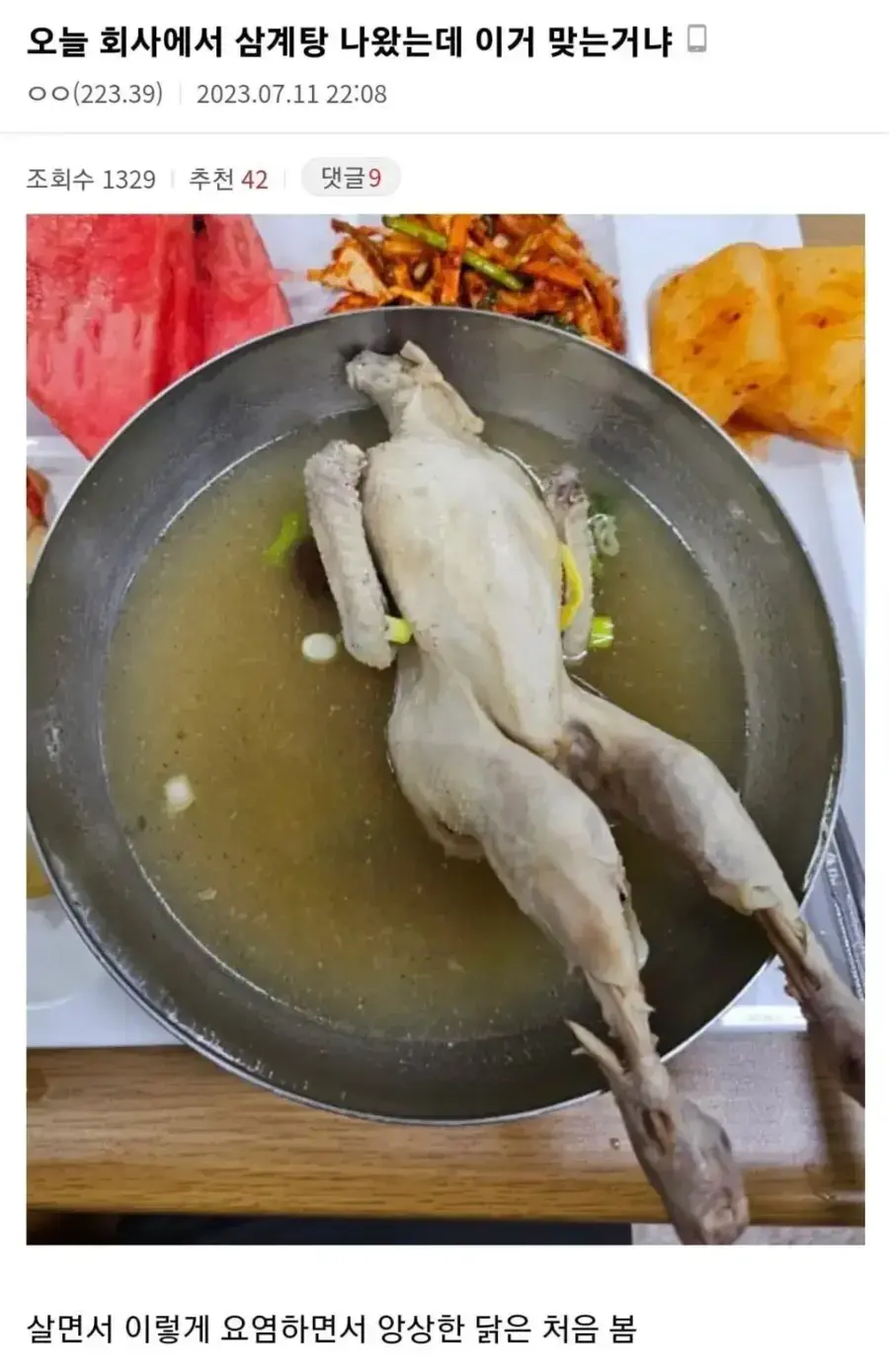 회사에서 삼계탕 나온 디씨인 .jpg _1.webp