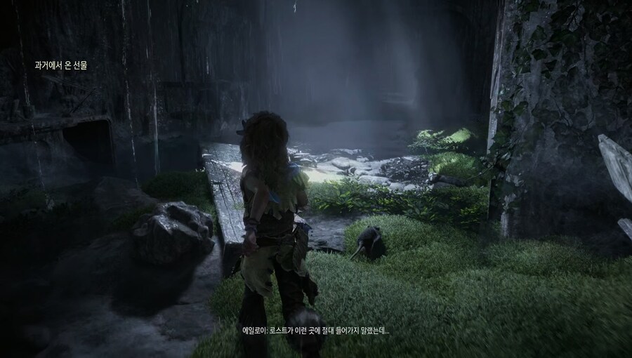 Horizon Zero Dawn™ Remastered_pro_uhd pro 성능 우선_godray.jpg