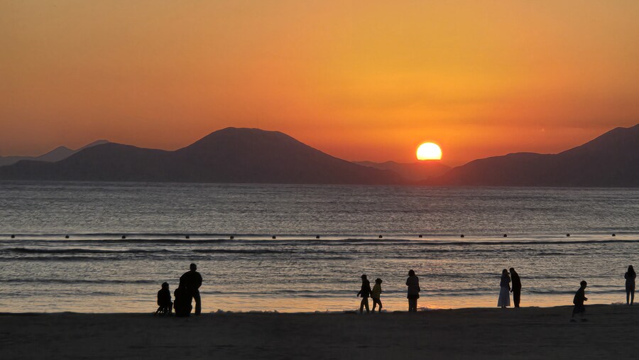 야간산책하는 회색앵무_4.jpg