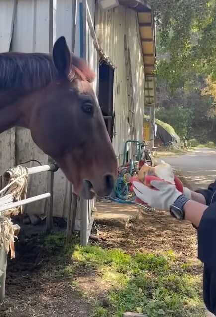 동물보호단체 분들, 속으로 아주 쾌재를 내지를 분들 많겠습니다._3.png