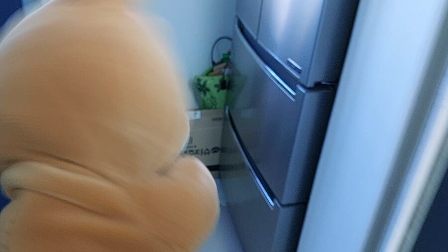 곰들의 빼빼로 데이!!_14.jpg