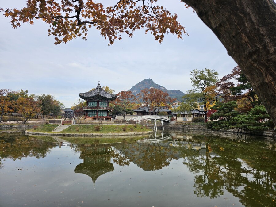 지방촌놈 일~월(연차) 서울 구경하고 냐루비님들 보고 온 후기_7.jpg