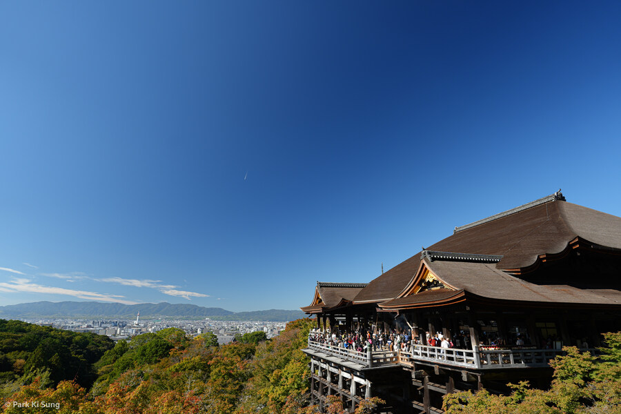 11월 오사카, 고베, 히메지, 교토_19.jpg