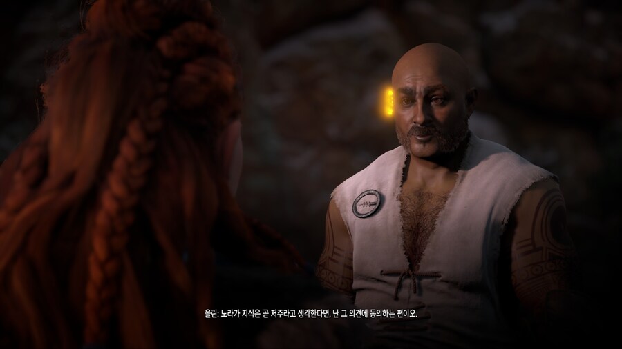 호라이즌 제로 던_42.jpg