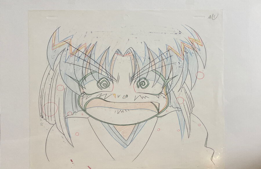 고쿠도군만유기 셀화 산거 도착_1.jpg