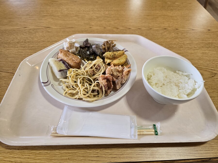 일본 현지 패키지 끌려갔다 온 이야기 -1편 쿠마모토 성->아소팜 점심_11.jpg