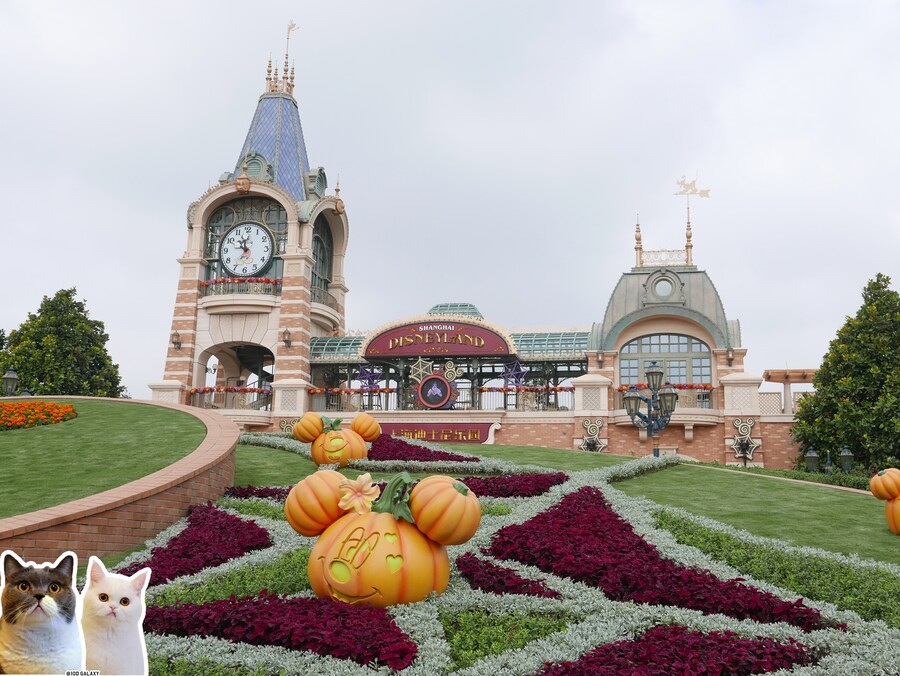 이거시 공산의 디즈니랜드다_2.jpg