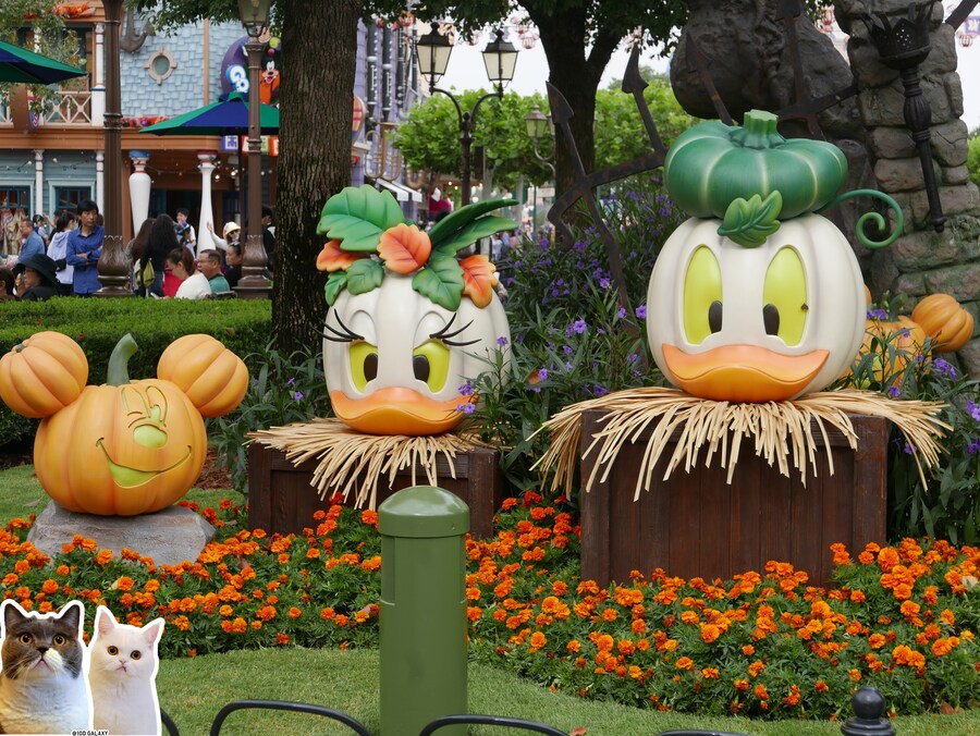 이거시 공산의 디즈니랜드다_3.jpg