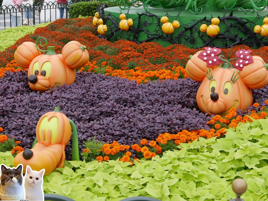 이거시 공산의 디즈니랜드다_7.jpg