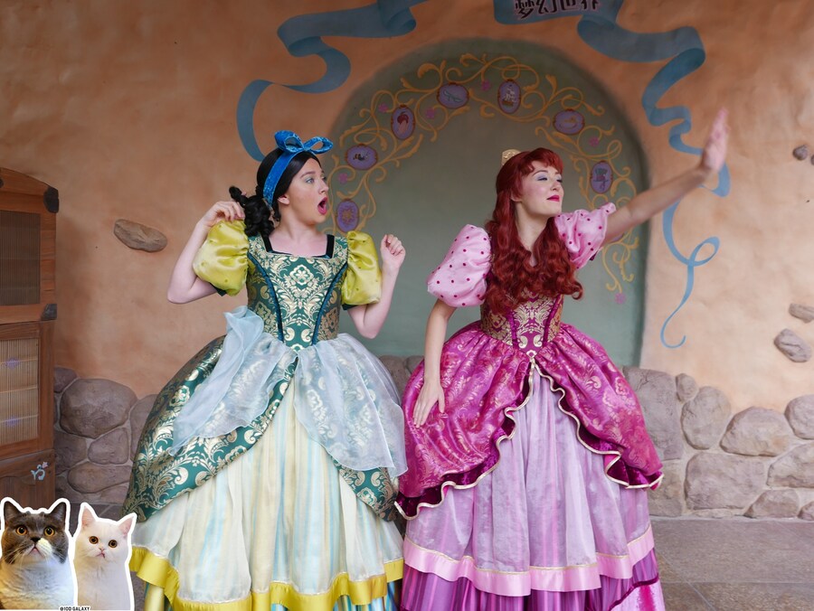 이거시 공산의 디즈니랜드다_12.jpg