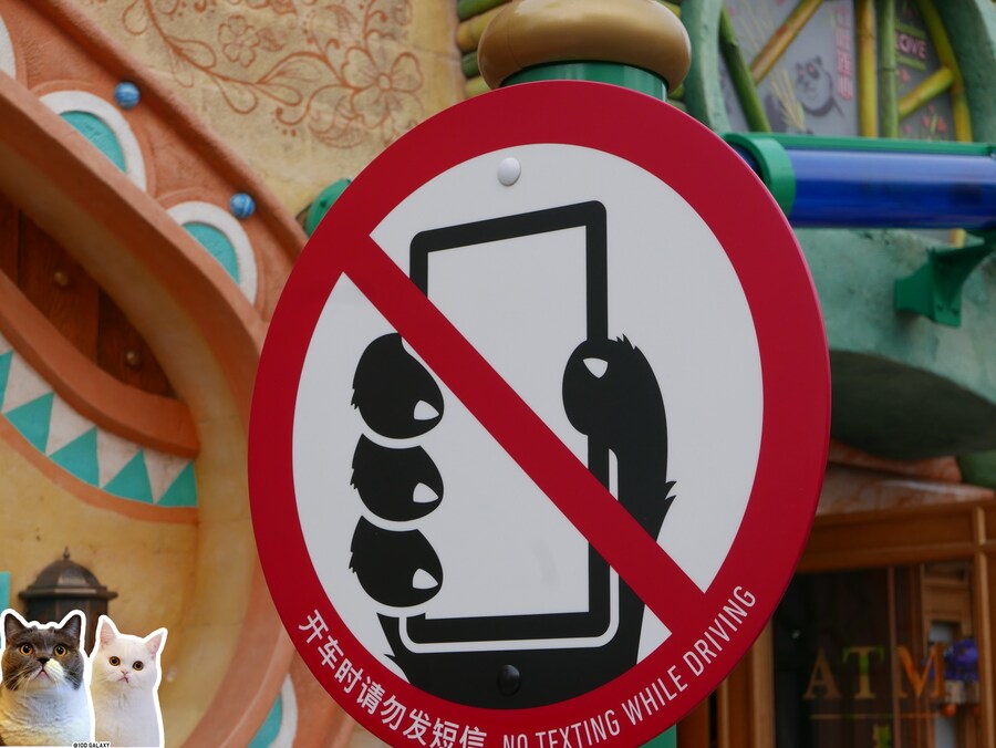 이거시 공산의 디즈니랜드다_16.jpg