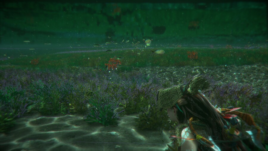 물속 환경, 날개 활공 너무 멋집니다._3.png