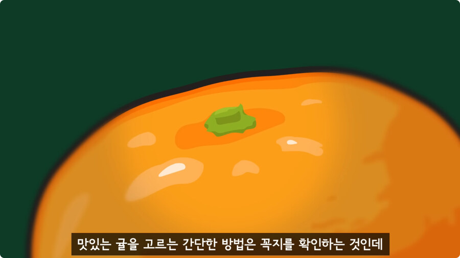맛있는 귤 고르는 방법.jpg_1.jpg