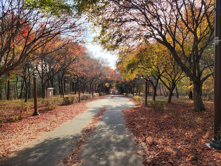 #천안 독립기념관_6.jpg
