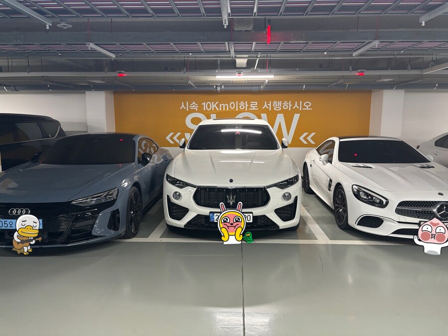 제 애마들입니다_1.jpg