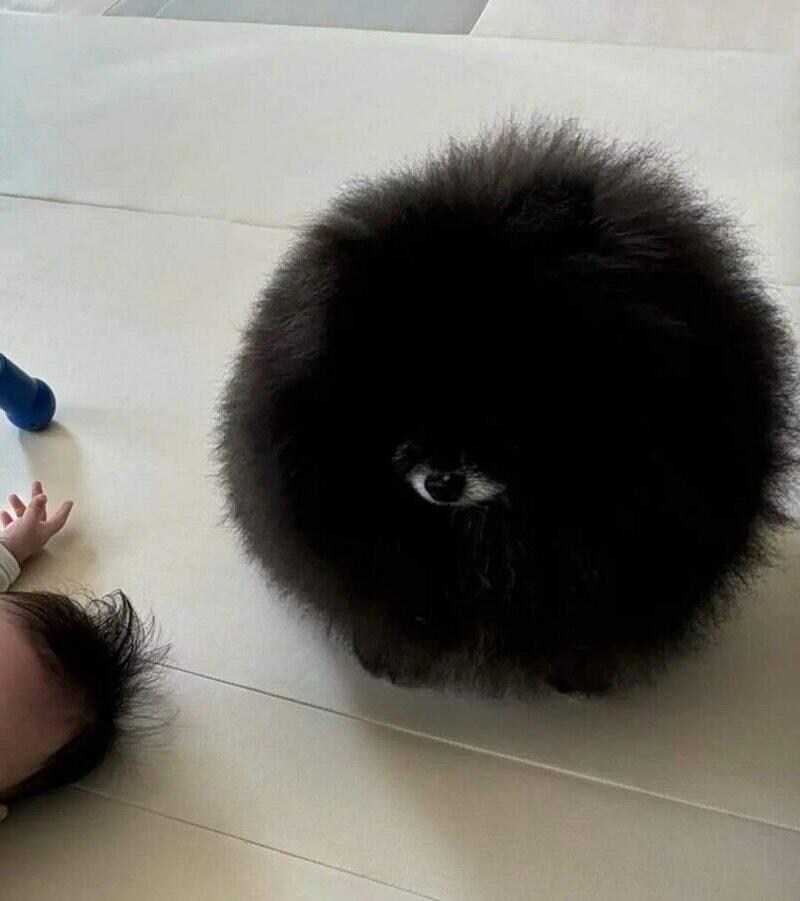 정체불명의 외눈박이 생명체_1.jpg