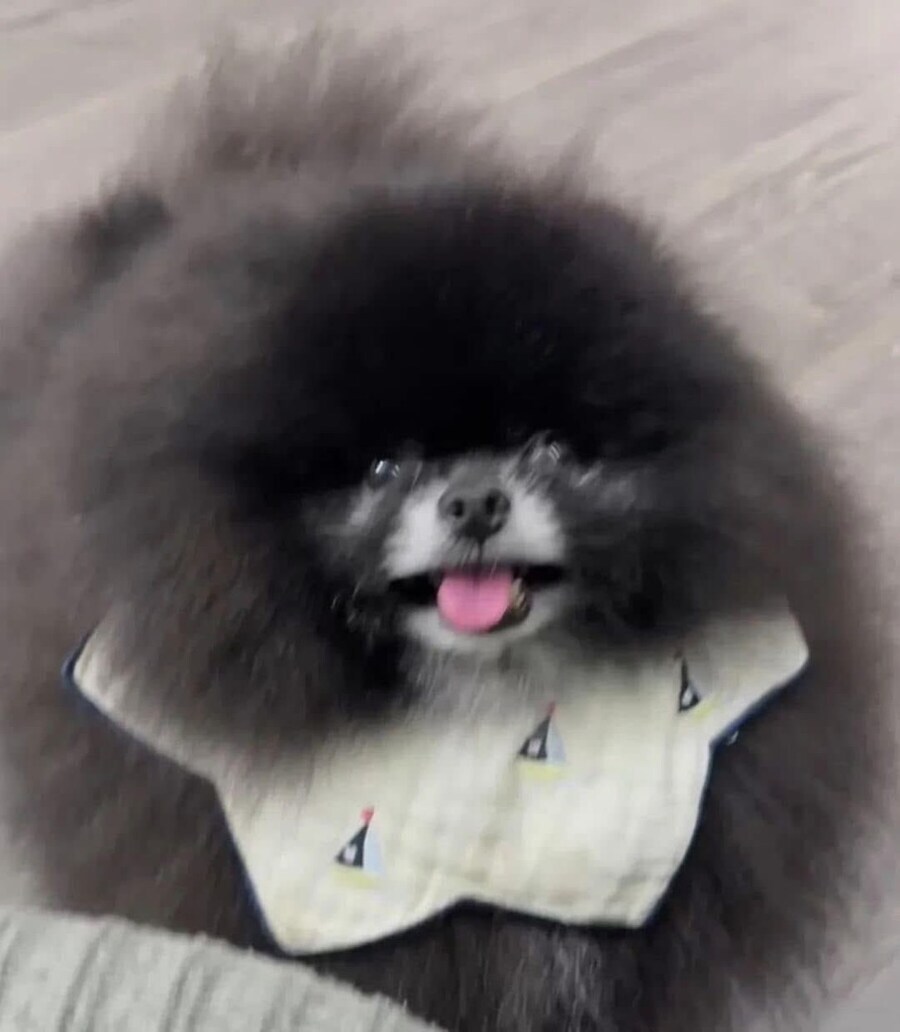 정체불명의 외눈박이 생명체_3.jpg