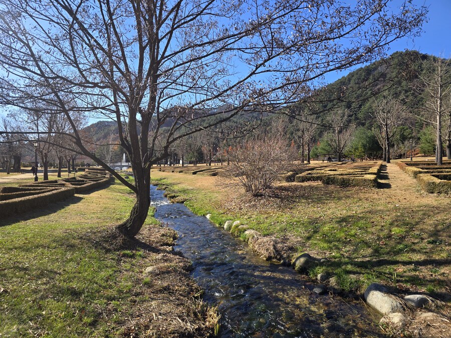 32개월 조카도 함께 한 결혼 40주년 기념 가족 여행_64.jpg