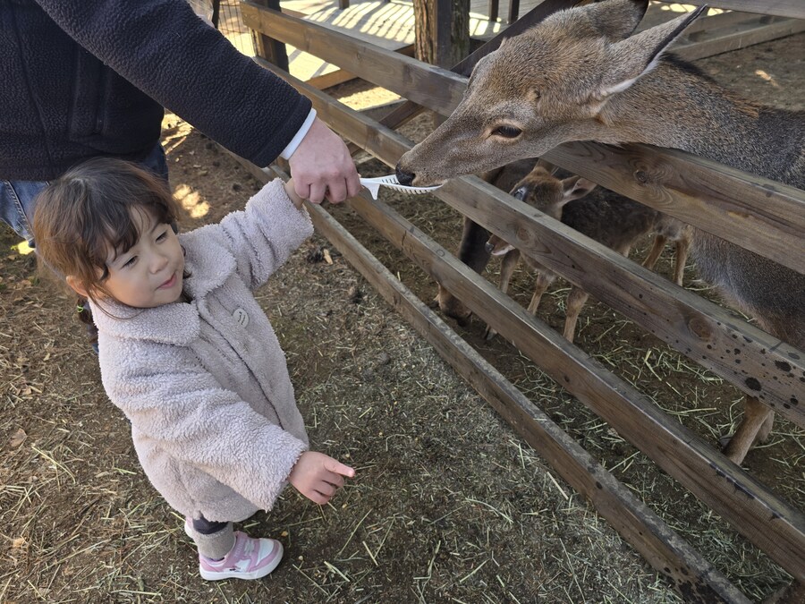 32개월 조카도 함께 한 결혼 40주년 기념 가족 여행_70.jpg