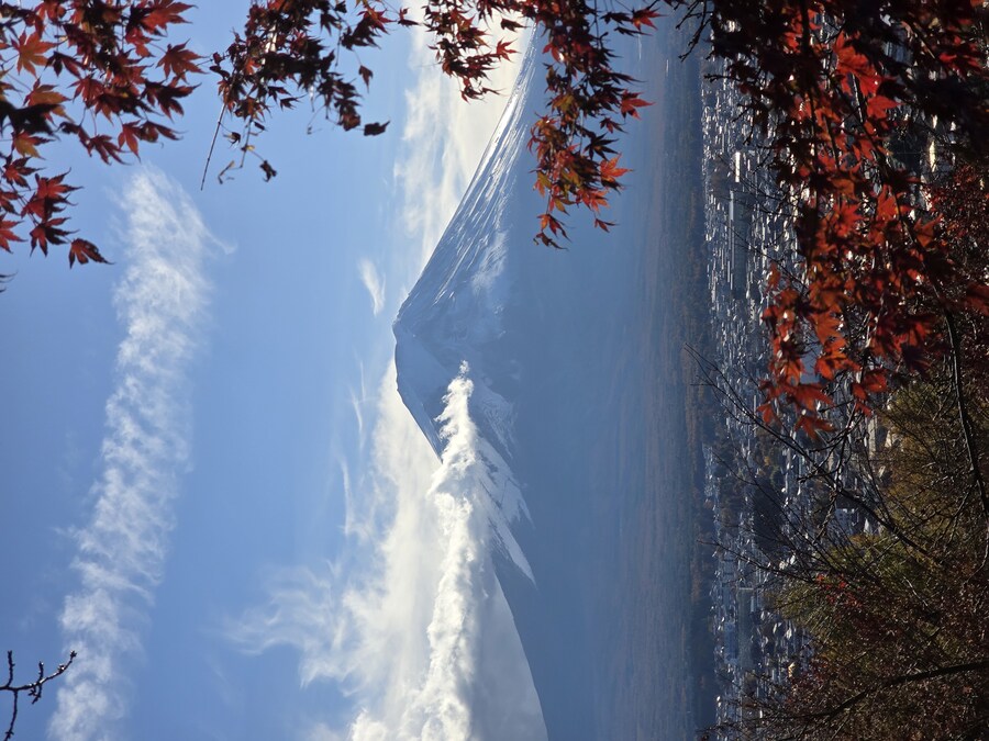 도쿄여행 후지산 뷰 당일치기 스팟들_9.jpg