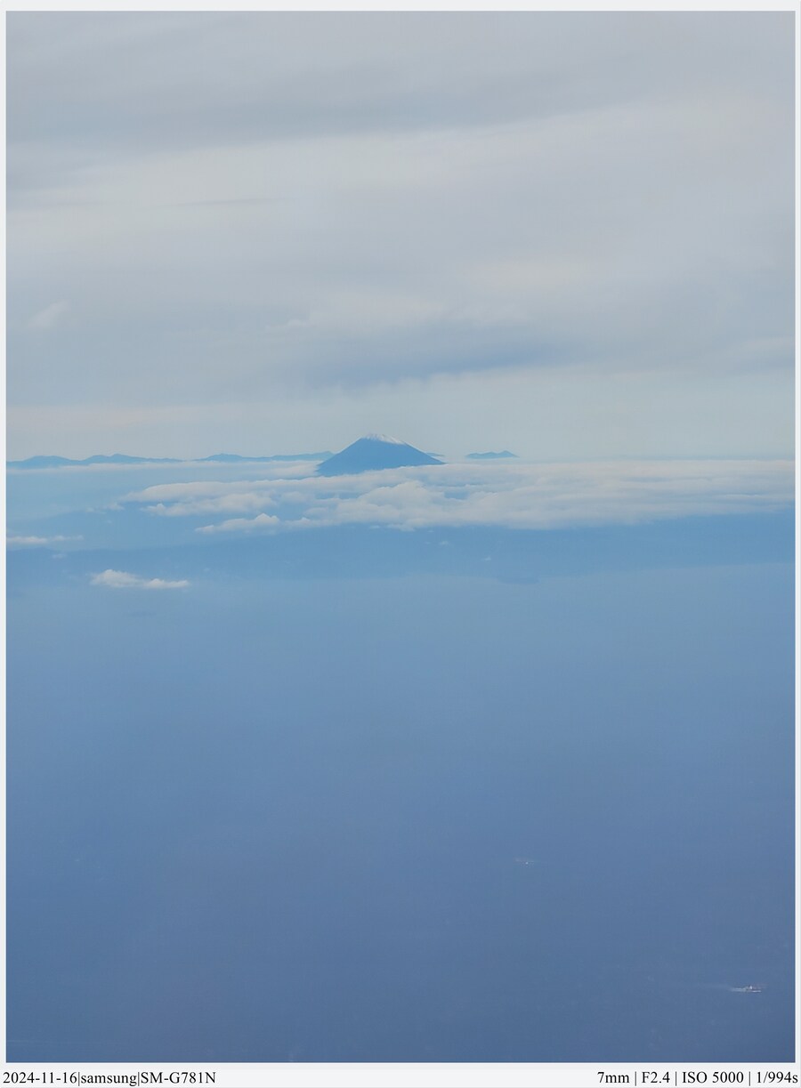 도쿄 여행기[24.11.16~21] - 1일차, 도쿄 경마장_10.jpg