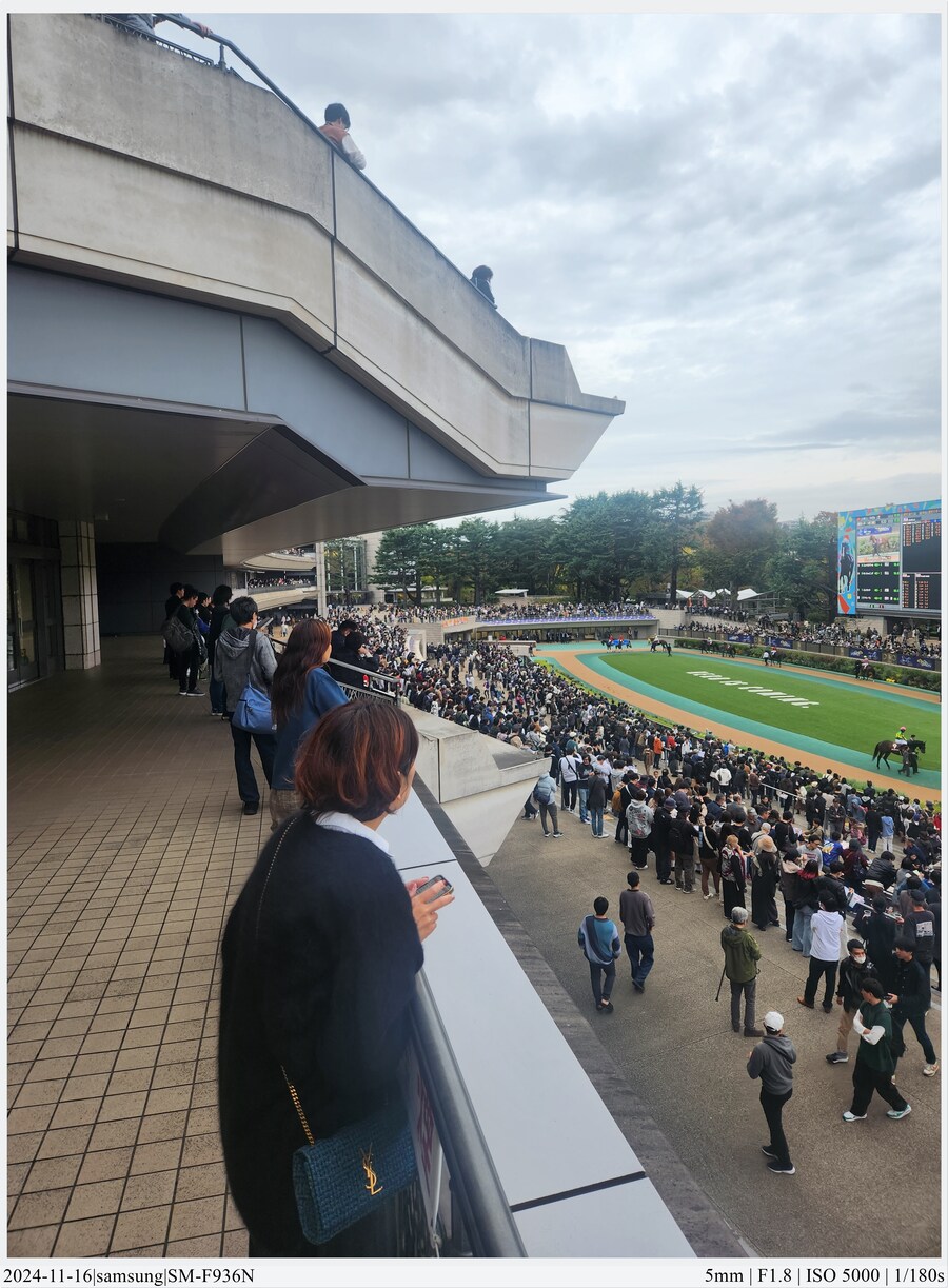 도쿄 여행기[24.11.16~21] - 1일차, 도쿄 경마장_31.jpg