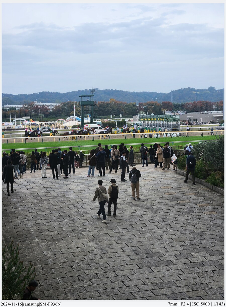 도쿄 여행기[24.11.16~21] - 1일차, 도쿄 경마장_33.jpg