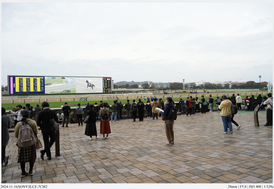 도쿄 여행기[24.11.16~21] - 1일차, 도쿄 경마장_36.jpg