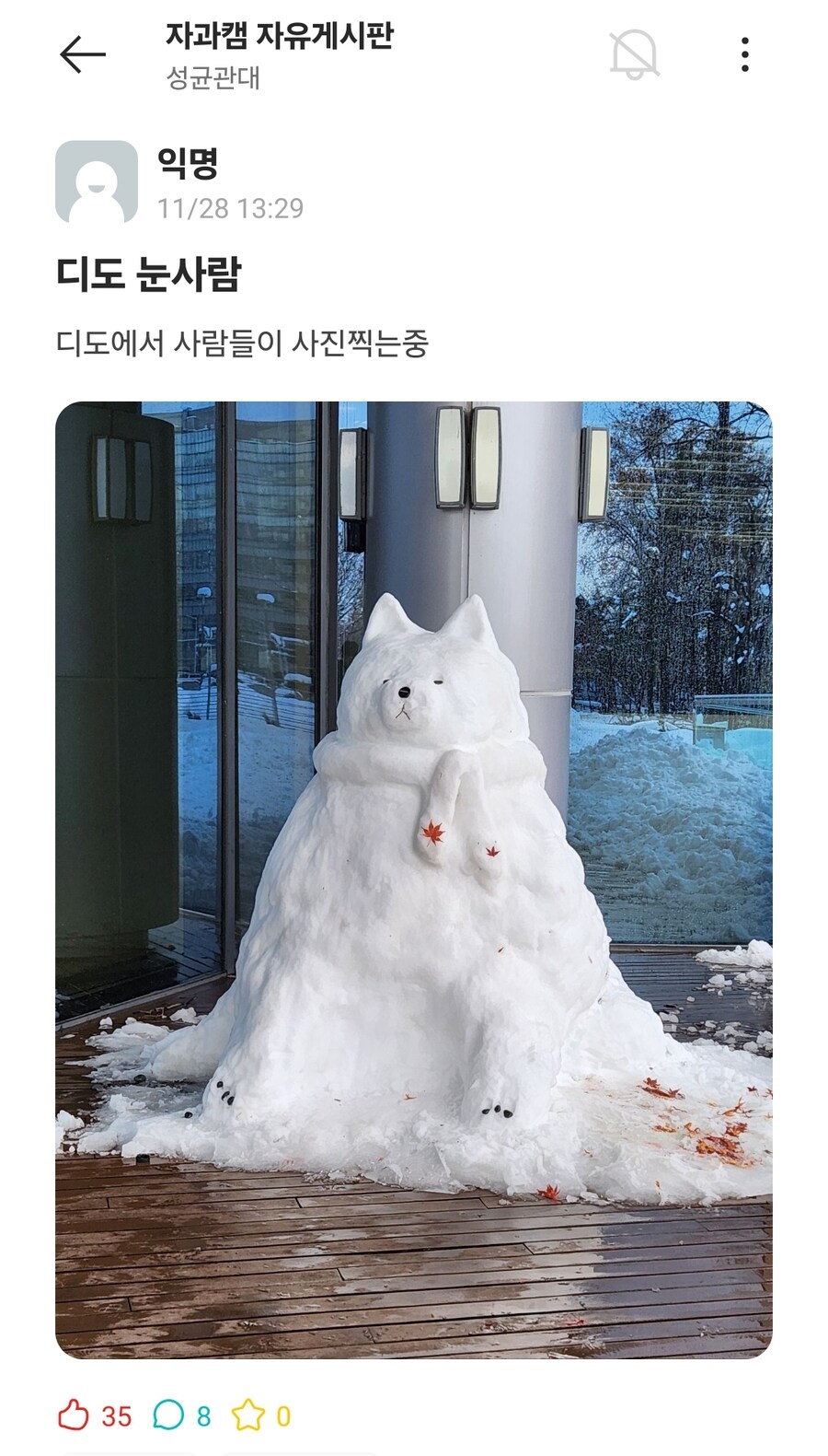 첫눈으로 동심을 되찾은 대학생들 근황_3.jpg